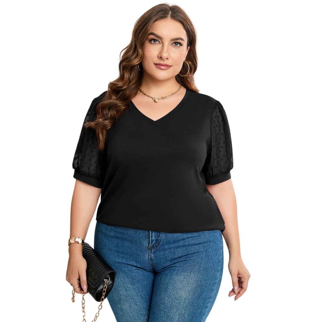 Aisha | Sheer Sleeve V-Neck Top