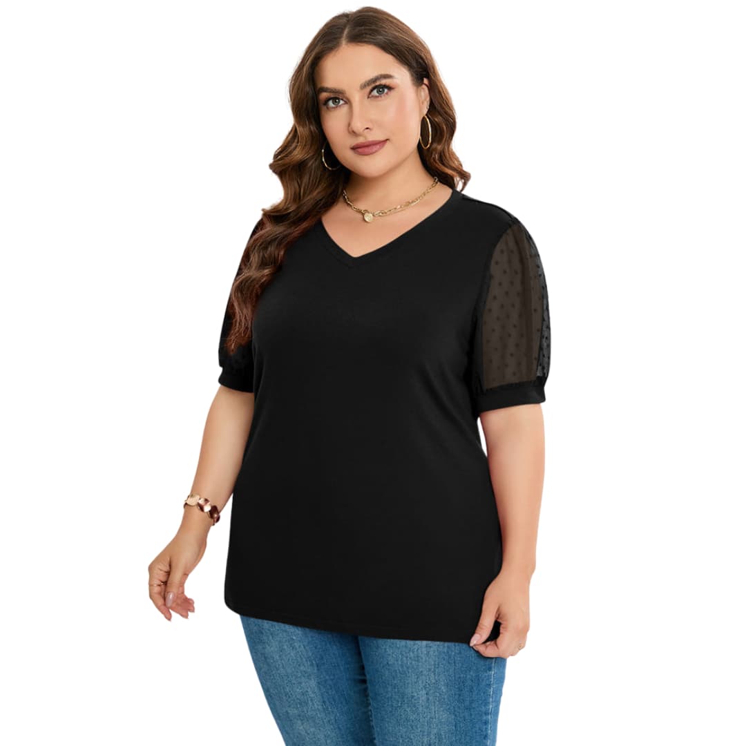 Aisha | Sheer Sleeve V-Neck Top