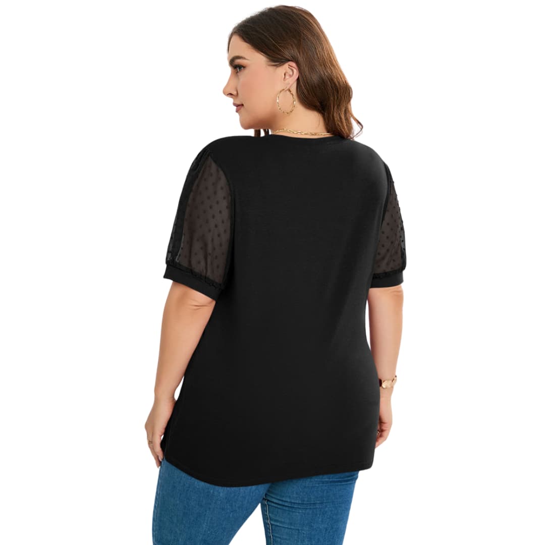 Aisha | Sheer Sleeve V-Neck Top